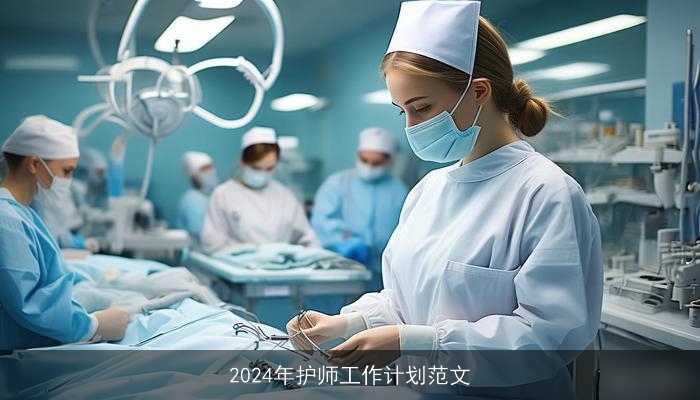 2024年护师工作计划范文