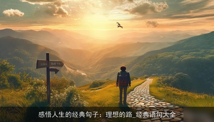 感悟人生的经典句子：理想的路_经典语句大全