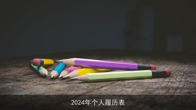 2024年个人履历表