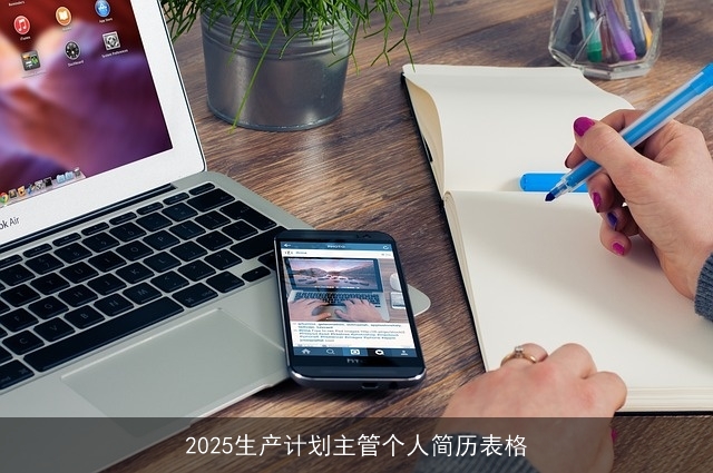 2025生产计划主管个人简历表格