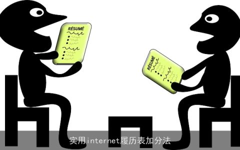 实用internet履历表加分法