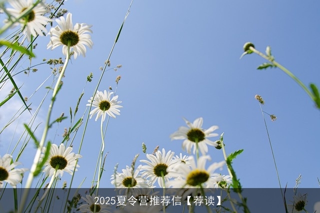 2025夏令营推荐信【荐读】