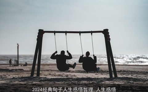 2024经典句子人生感悟哲理_人生感悟