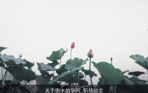 关于倒水的学问_职场励志