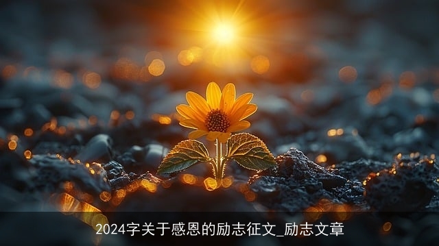 2024字关于感恩的励志征文_励志文章