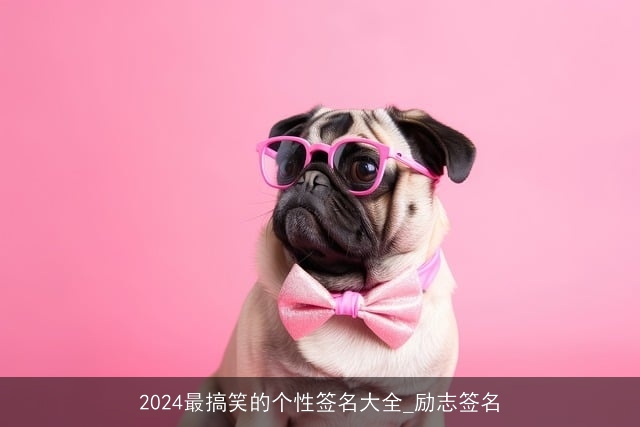 2024最搞笑的个性签名大全_励志签名