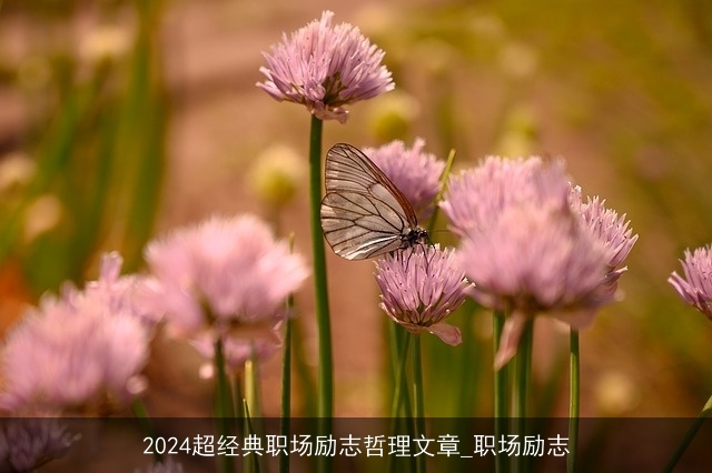 2024超经典职场励志哲理文章_职场励志