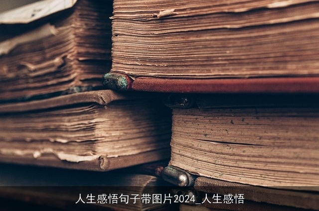 人生感悟句子带图片2024_人生感悟