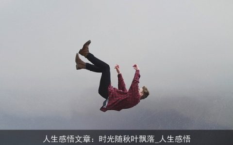 人生感悟文章：时光随秋叶飘落_人生感悟