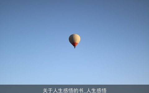 关于人生感悟的书_人生感悟