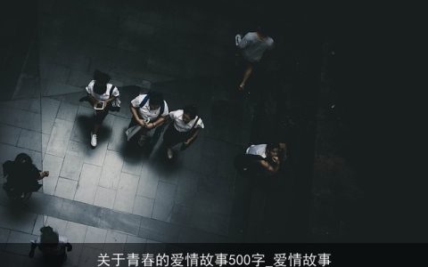 关于青春的爱情故事500字_爱情故事