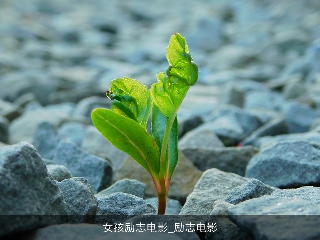 女孩励志电影_励志电影