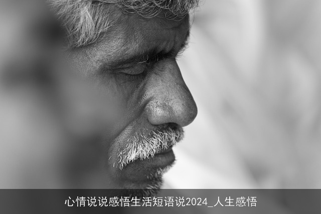 心情说说感悟生活短语说2024_人生感悟