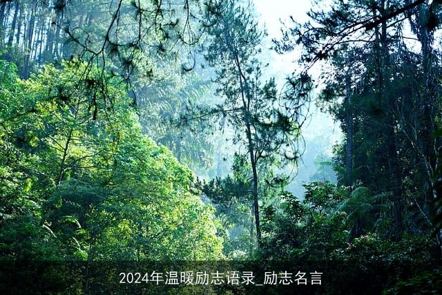 2024年温暖励志语录_励志名言