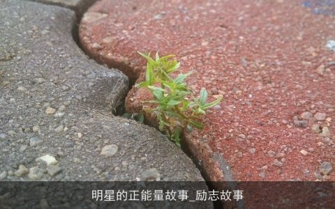 明星的正能量故事_励志故事