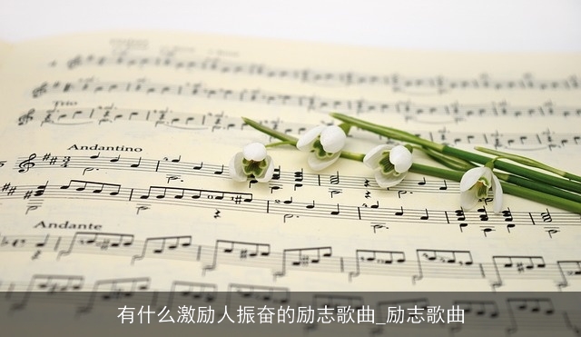 有什么激励人振奋的励志歌曲_励志歌曲