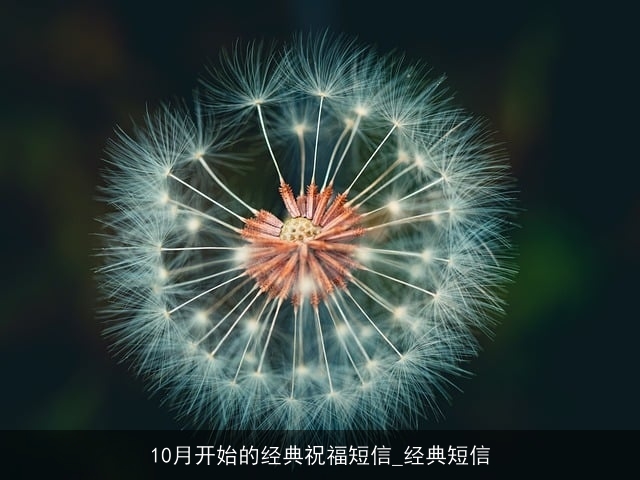 10月开始的经典祝福短信_经典短信