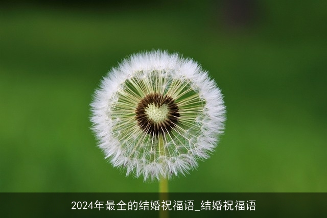 2024年最全的结婚祝福语_结婚祝福语