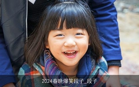 2024春晚爆笑段子_段子