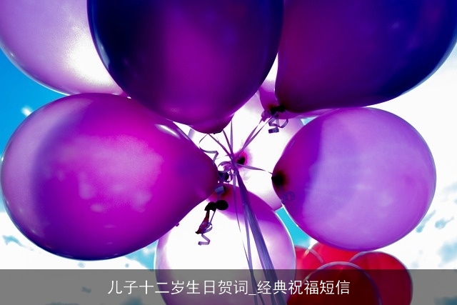 儿子十二岁生日贺词_经典祝福短信