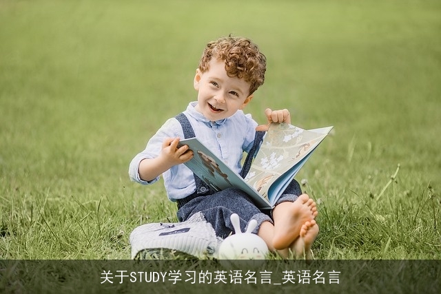 关于STUDY学习的英语名言_英语名言