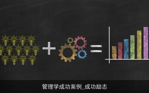 管理学成功案例_成功励志