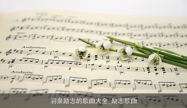 羽泉励志的歌曲大全_励志歌曲