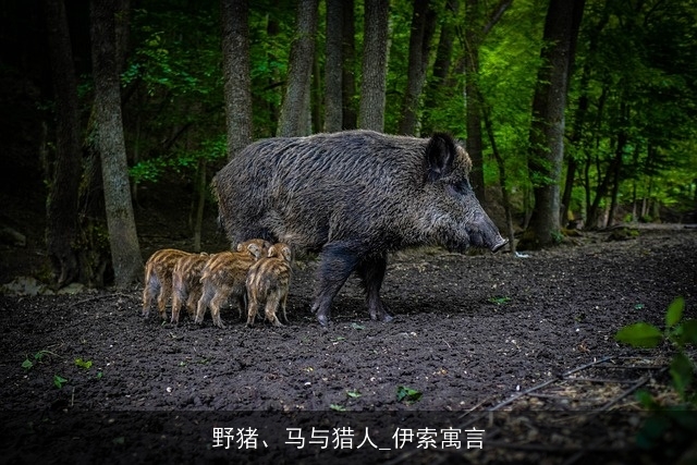 野猪、马与猎人_伊索寓言