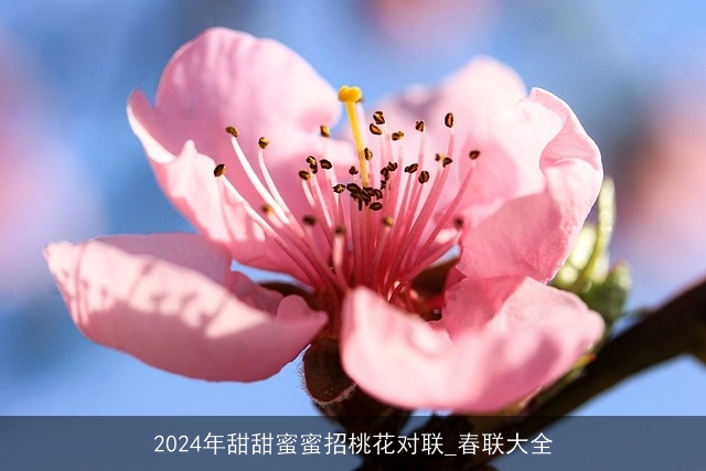 2024年甜甜蜜蜜招桃花对联_春联大全