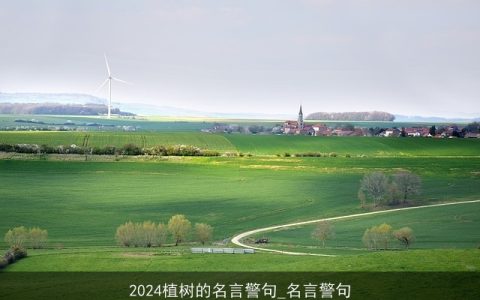 2024植树的名言警句_名言警句