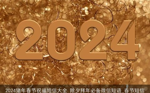 2024猪年春节祝福短信大全 除夕拜年必备微信短语_春节短信