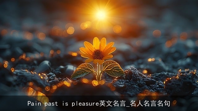 Pain past is pleasure英文名言_名人名言名句