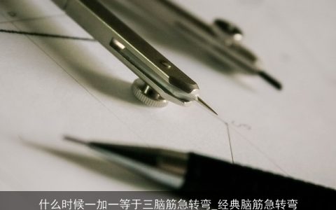 什么时候一加一等于三脑筋急转弯_经典脑筋急转弯