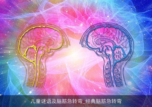 儿童谜语及脑筋急转弯_经典脑筋急转弯