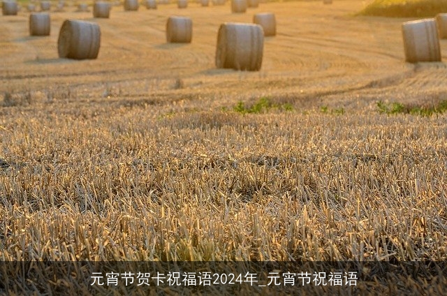 元宵节贺卡祝福语2024年_元宵节祝福语