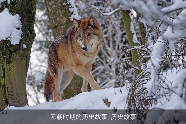 元朝时期的历史故事_历史故事