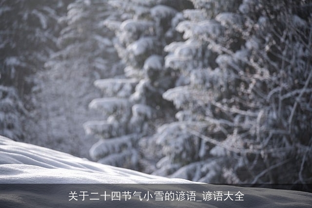 关于二十四节气小雪的谚语_谚语大全