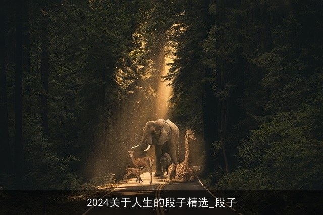 2024关于人生的段子精选_段子