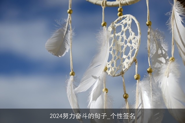 2024努力奋斗的句子_个性签名