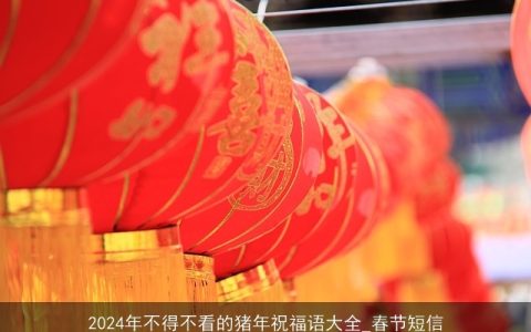 2024年不得不看的猪年祝福语大全_春节短信