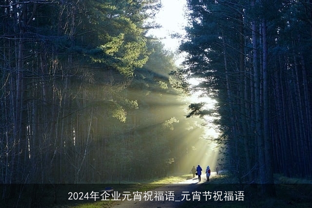 2024年企业元宵祝福语_元宵节祝福语