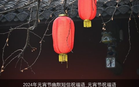 2024年元宵节幽默短信祝福语_元宵节祝福语