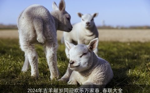 2024年吉羊献岁同迎欢乐万家春_春联大全