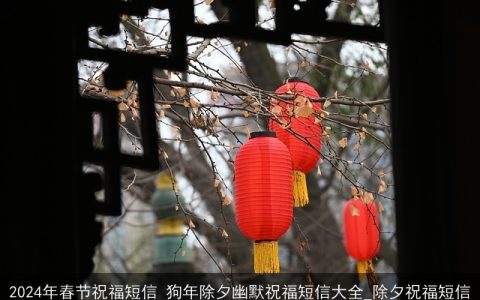 2024年春节祝福短信 狗年除夕幽默祝福短信大全_除夕祝福短信