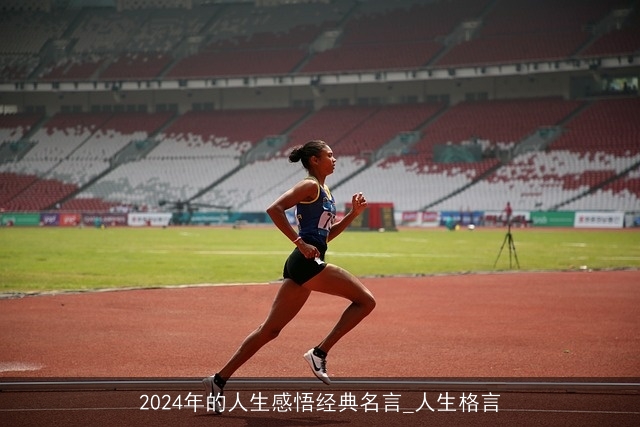 2024年的人生感悟经典名言_人生格言