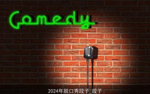 2024年脱口秀段子_段子