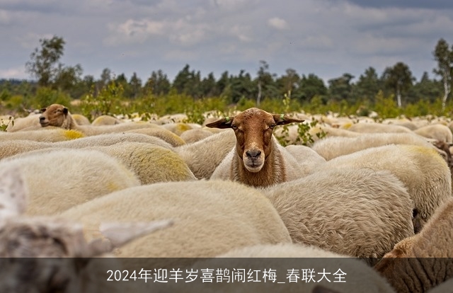 2024年迎羊岁喜鹊闹红梅_春联大全