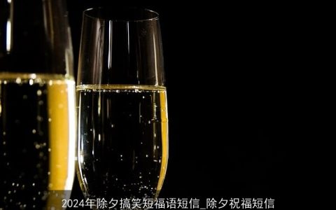 2024年除夕搞笑短福语短信_除夕祝福短信