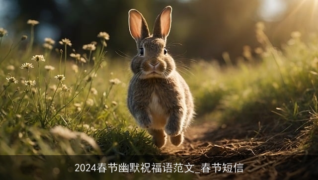 2024春节幽默祝福语范文_春节短信