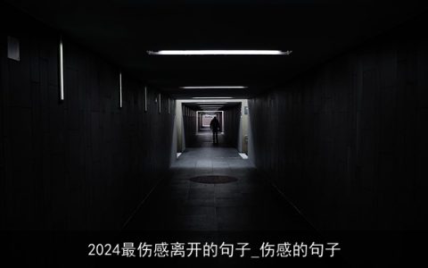 2024最伤感离开的句子_伤感的句子